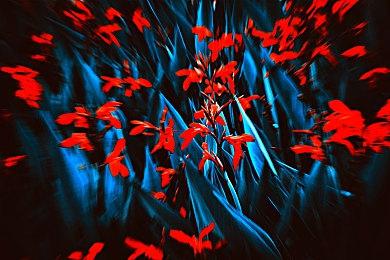 《星之海洋2》重制版使用D加密 系统配置需求公布